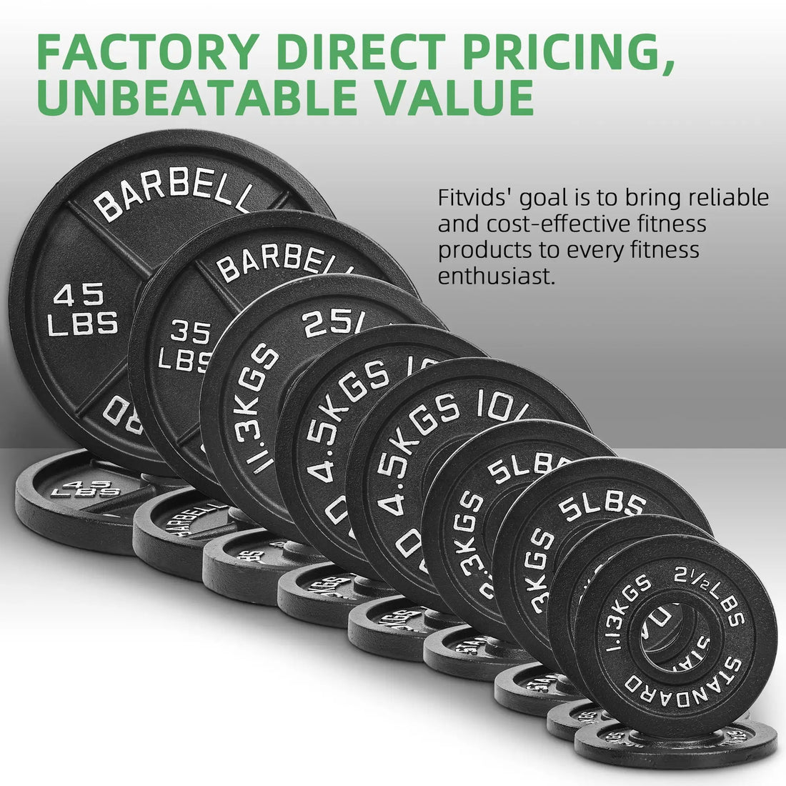 Cast Iron Weight Plates for Strength Training, 2-Inch, 5-Pound, Set of 4